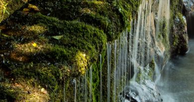 Экскурсия в Медовые водопады и Замок Коварства и Любви
