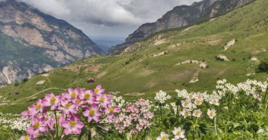 Замок-фрегат в Ханазе